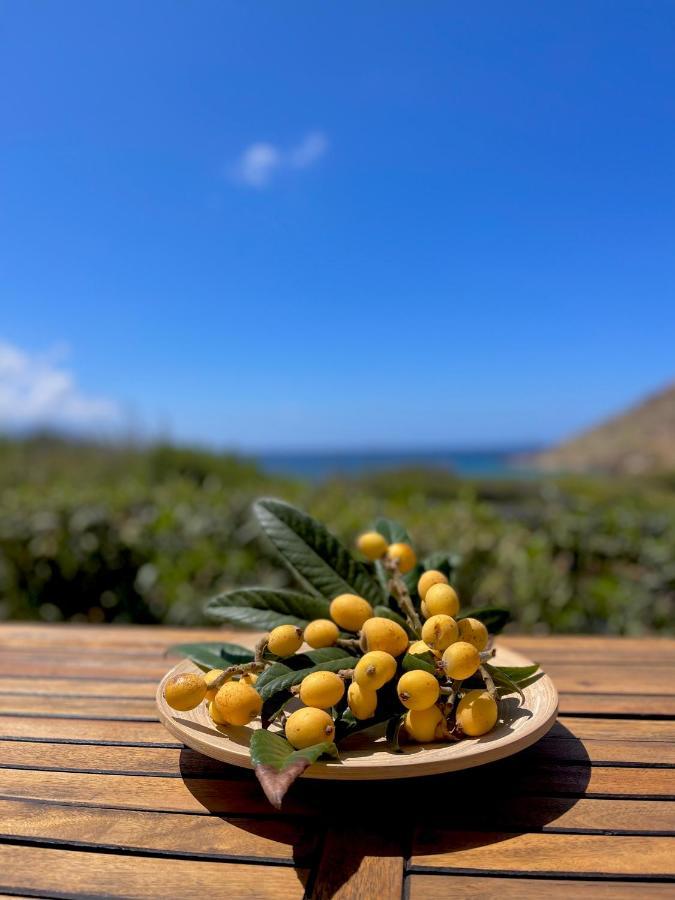 Seaside Studios Arkasa Karpathos エクステリア 写真