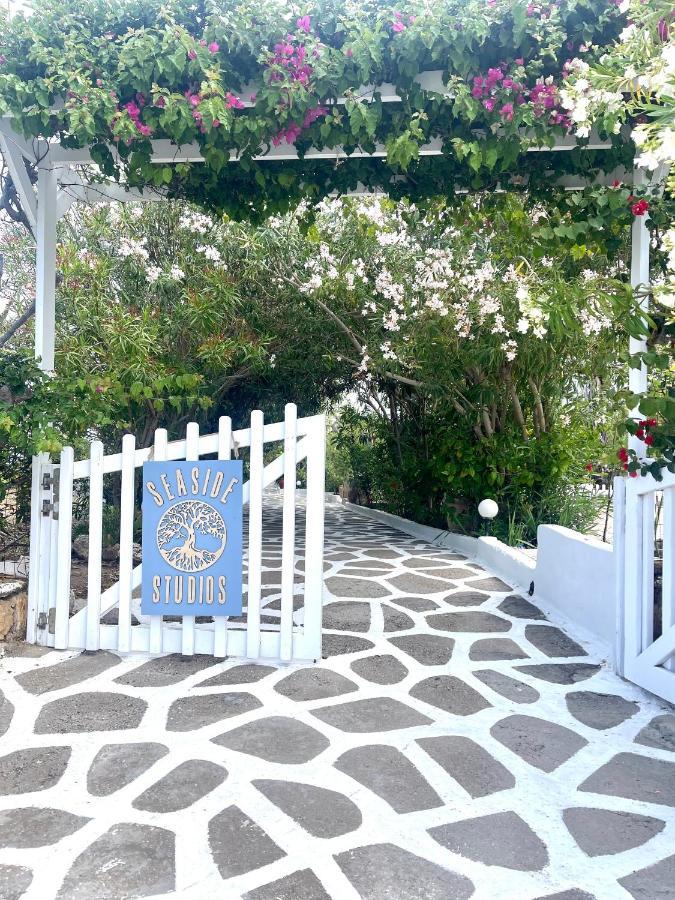 Seaside Studios Arkasa Karpathos エクステリア 写真