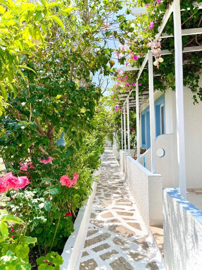 Seaside Studios Arkasa Karpathos エクステリア 写真